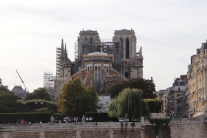 katedra notre dame